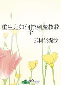 重生之如何撩到魔教教主