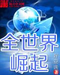 联网95